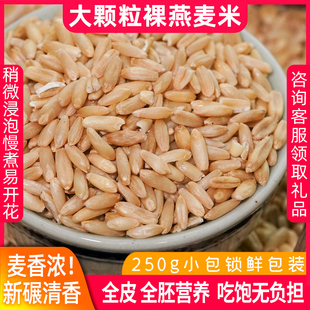 全胚芽燕麦米当季新米裸燕麦胚芽米生莜麦五谷杂粮粗粮低脂轻食