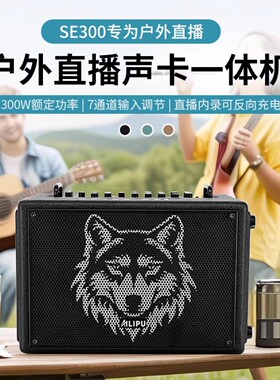 AILIPU/艾利普Se300户外乐器音响K歌直播吉他弹唱蓝牙专业音箱
