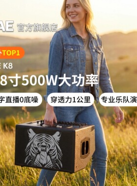 KAE-K8音响户外舞台路演直播声乐器吉他弹唱K歌音箱，