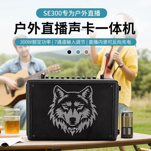 艾利普Se300直播音响户外乐器K歌直播吉他弹唱蓝牙专业唱歌音箱