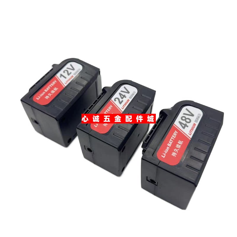 徕本 弛臣 特忆12V24V48VF锂电池充电器无线洗车机高压水枪充电式