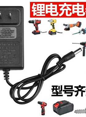 通用洗车机锂电池24VF999VF17980VF25880VF498VF9980VF智能充电器