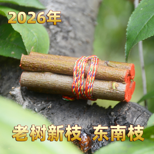 7根正东南老桃木段桃木棍桃树枝桃木枝五色绳随身真桃木挂件摆件