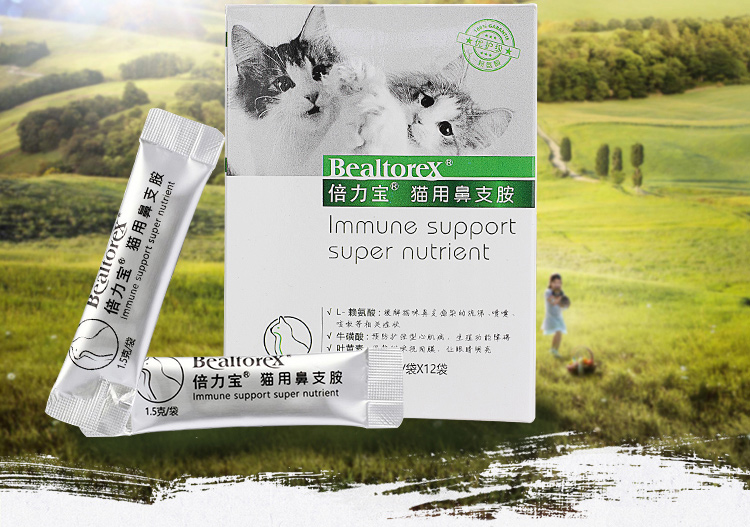 流鼻涕打喷嚏咳嗽猫咪
