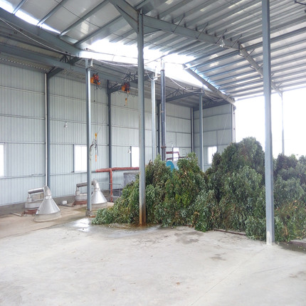 天然龙脑高纯度龙脑樟提取98含量取代合成冰片20克