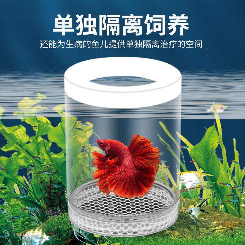 鱼缸隔小号白孵离盒孔雀鱼繁殖盒凤尾鱼斑孵马母鱼房产小鱼缸内胎