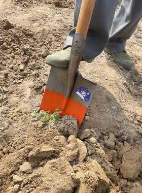 燕洋厂家直销农00069用工具大锹泥长铁柄铁锨铁铲钢锹方号铁锹铁