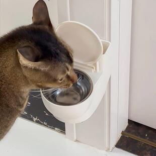 【骗水神器KBW！桶】猫咪马饮水机创意壁式宠物水碗防打翻悬猫空