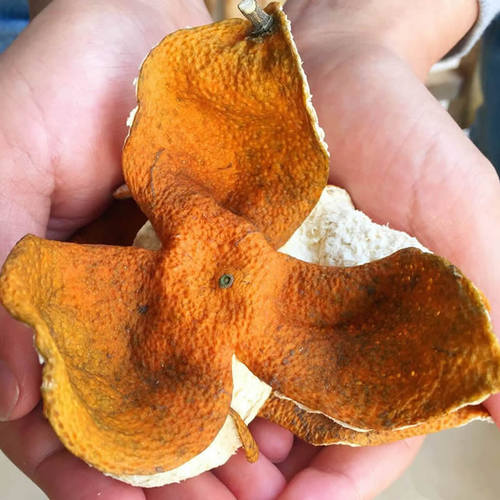 生晒新会东甲牛比围原枝大红陈皮