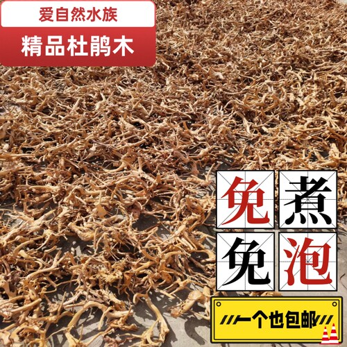 杜鹃根造景沉木鱼缸莫斯树插花龟