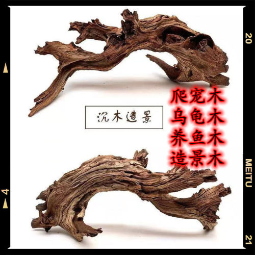 沉木紫柚木爬宠木乌龟晒台鱼缸景