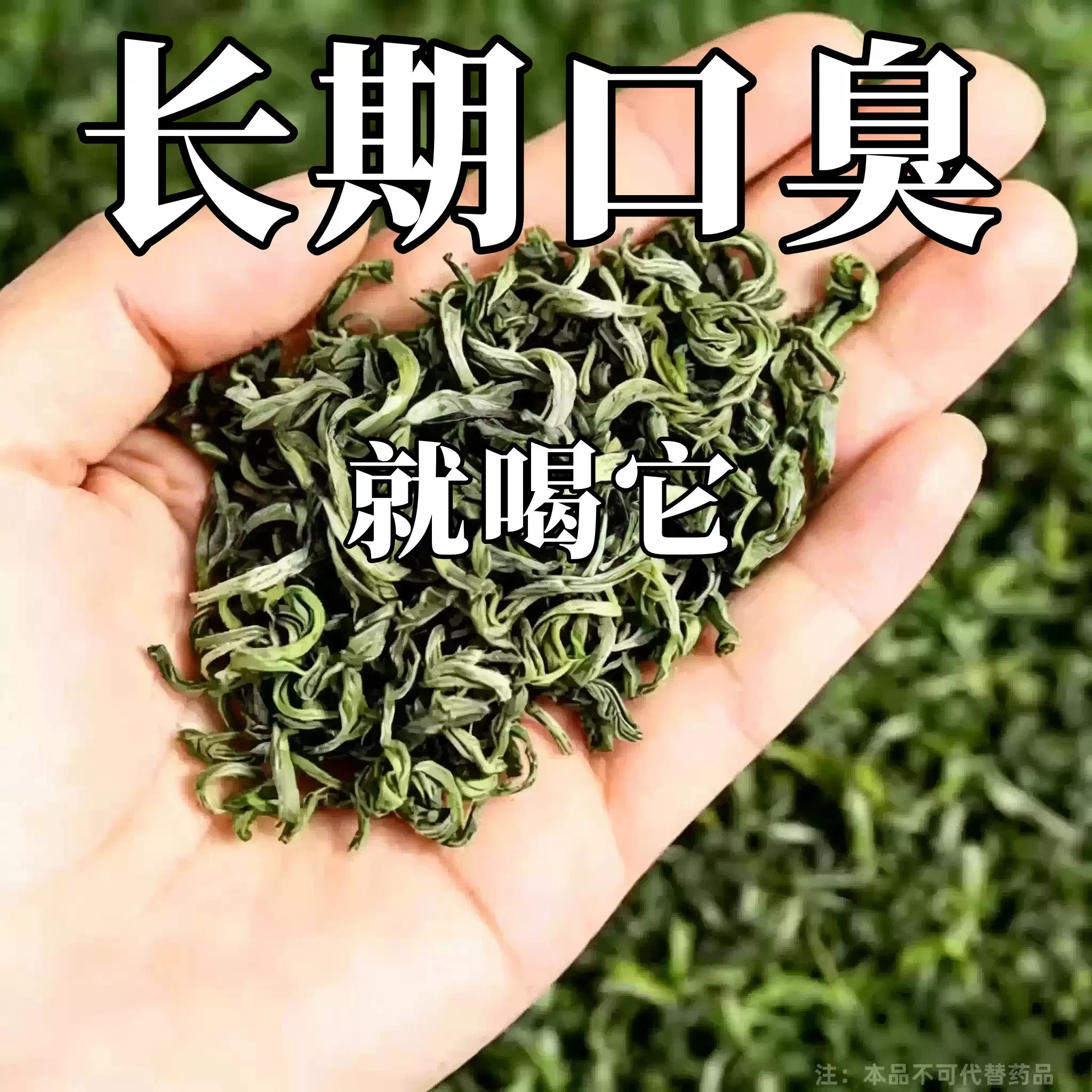 【老偏方】口臭调理肠胃口臭茶口苦口干去口气清新去除异味