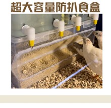 芦丁鸡超大号器自动喂食大容量透防溅防刨宠明食盒物鸡饲料喂食器