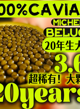 原装20年BELUGA高蛋白3.6超大颗粒达氏鳇鱼子酱奶酪香气鲟鱼籽
