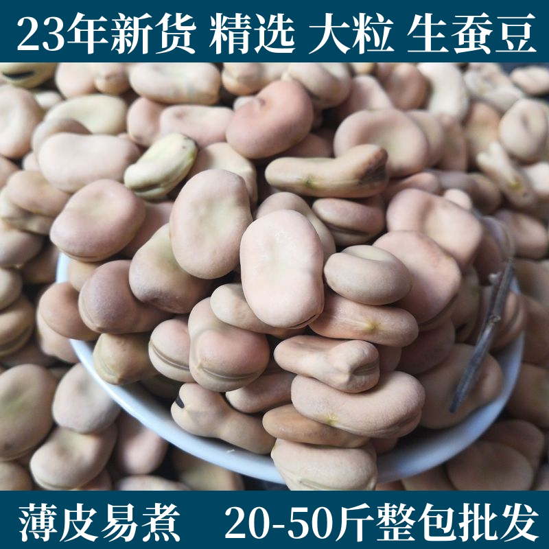 20斤大生蚕豆新货干蚕豆农家绿皮蚕豆罗汉豆胡豆可发芽