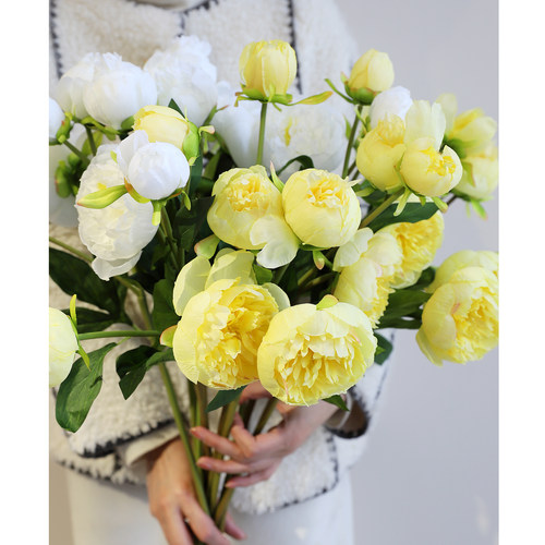 芙菡居品绢花室内中国芍药牡丹