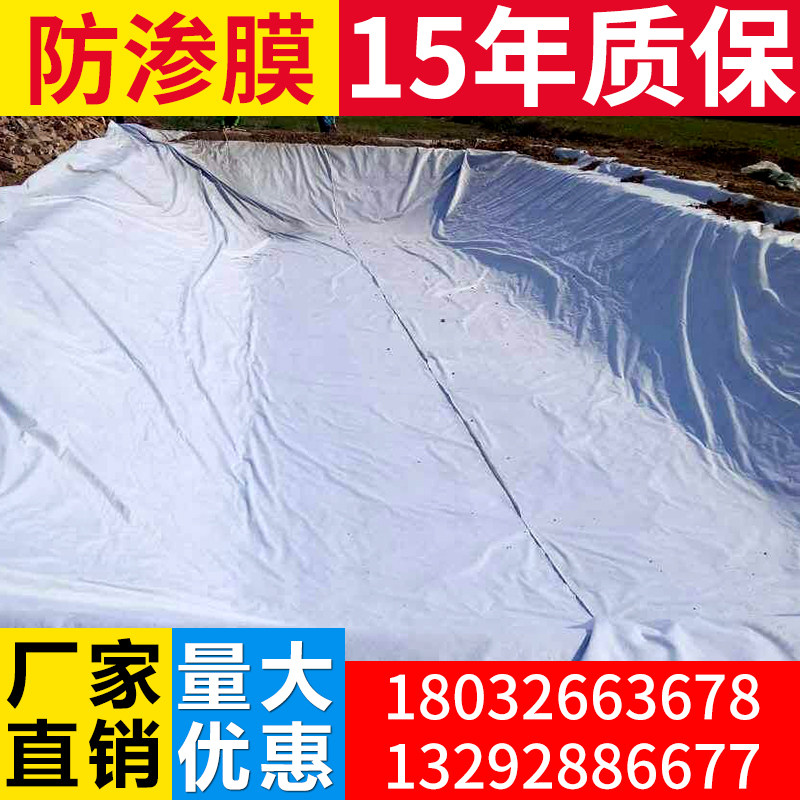 土工膜复合膜鱼池护坡蓄水池厂家养殖防渗膜HDPE土工布鱼塘防水图片
