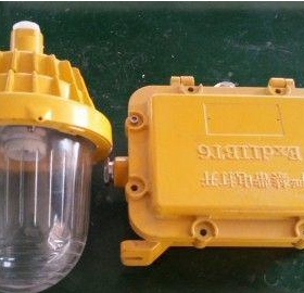 CBPC8720防爆平台灯,CBPC8720,防爆平台灯,防爆灯,厂用防爆平台灯