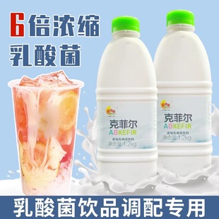 库米思乳酸菌1.2kg克菲尔原味浓缩乳益菌饮料优酪多多酸奶奶茶