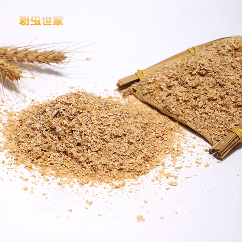 新鲜麦麸面包虫活虫饲料钓鱼饵料