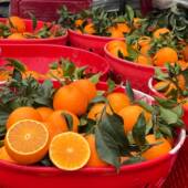 正宗眉山爱媛38号柑橘皇后红美人果冻橙新鲜柑橘鲜甜多汁5斤8斤