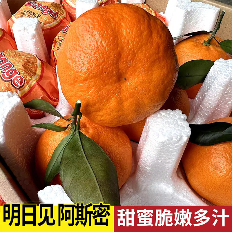 JD正宗四川明日见柑橘日本阿斯密新鲜当季水果春见耙耙柑升级版