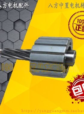 正品BAFANG8FUN八方中置轮毂电机八方中置电机转子维修通用配件