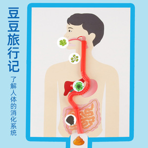 科学实验diy豆豆旅行记 人体消化系统模型科技小制作儿童手工材料