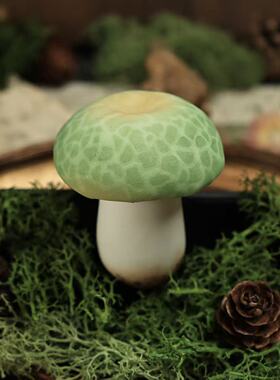 云南菌物志手作 树脂粘土青头菌冰箱贴 野生菌云南伴手礼