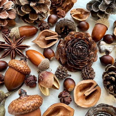 「木子手作」天然果子标本相框圣诞手工DIY干花干果 橡果桂皮松果
