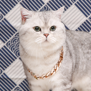 宠物围巾围嘴狗狗装饰出街猫咪围脖泰迪公主可调节狗狗项链霸气