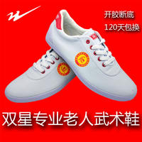 Double Star Tai Chi shoes, practice shoes, men's and women's canvas shoes with ox tendon soles, martial arts shoes, large sizes, children's sizes 26-46 thumbnail 2