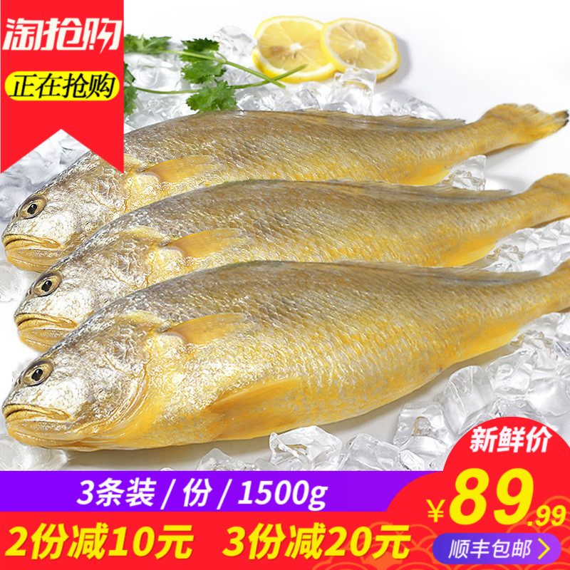 »Æ»¨Óã 1500g/3Ìõ ÐÂÏÊÏÊ»îÀä¶³º£ÏÊ ´ó»ÆÓãС»ÆÓã3½ï ˳·á°üÓÊ