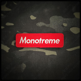 Morale 现货 Monotreme 单孔目动物臂章 美国PDW Patch字母魔术贴