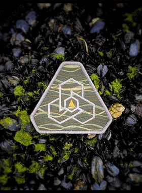 现货 美国PDW Logo 2021 Morale Patch 标志臂章 士气章 魔术贴