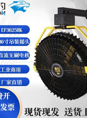雷豹移动工业风扇壁挂式摇头大电扇厂库体育场永磁电风扇EF3625HK