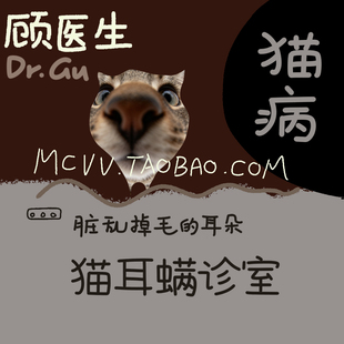 猫耳螨去耳螨宠物医生顾医生在线咨询宠物诊所线上猫看病诊疗咨询