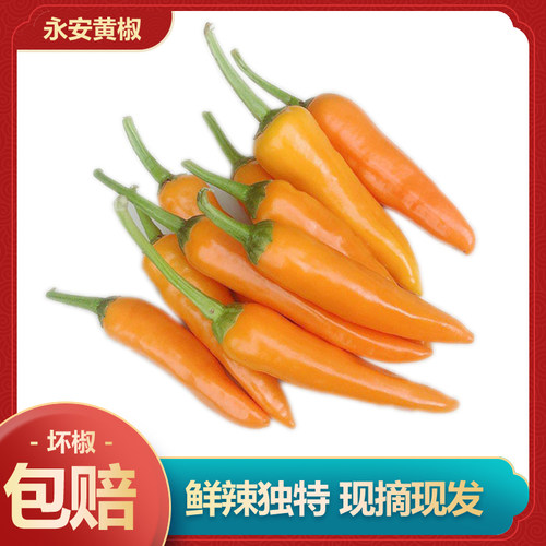 永安特产魔鬼鲜香500g黄椒