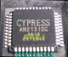 AN2131SC