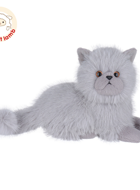 Apricot lamb灰色波斯猫趣趣毛绒玩具可爱猫咪公仔安抚仿真玩偶