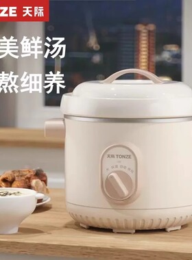 天际电炖炖锅煲汤陶瓷家用炖锅bb煲煮粥神器煲汤锅养生锅30XD
