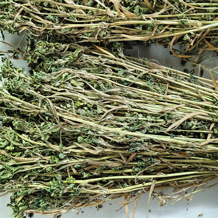 陕南安康特产香草苜蓿草炖肉煲汤做馍花卷凉皮凉菜调料