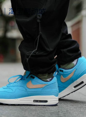 Nike/耐克AIR MAX 1男运动鞋低帮缓震休闲跑步支撑抓地FB8915-400