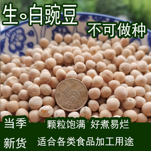 农家自产生干豌豆粒白碗豆粒五谷杂粮重庆小面原料带壳白豌豆散装