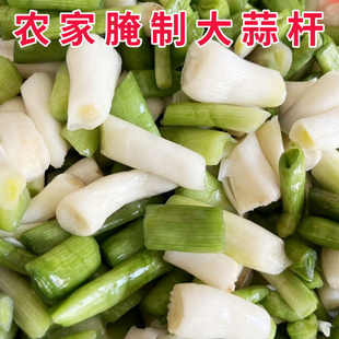 河南固始当季腌大蒜蒜杆子咸菜