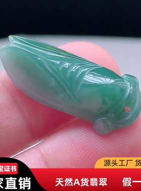 蓝水天然a货翡翠吊坠一鸣惊人吊坠tqt送小男女孩玉坠黄翡金蝉挂件