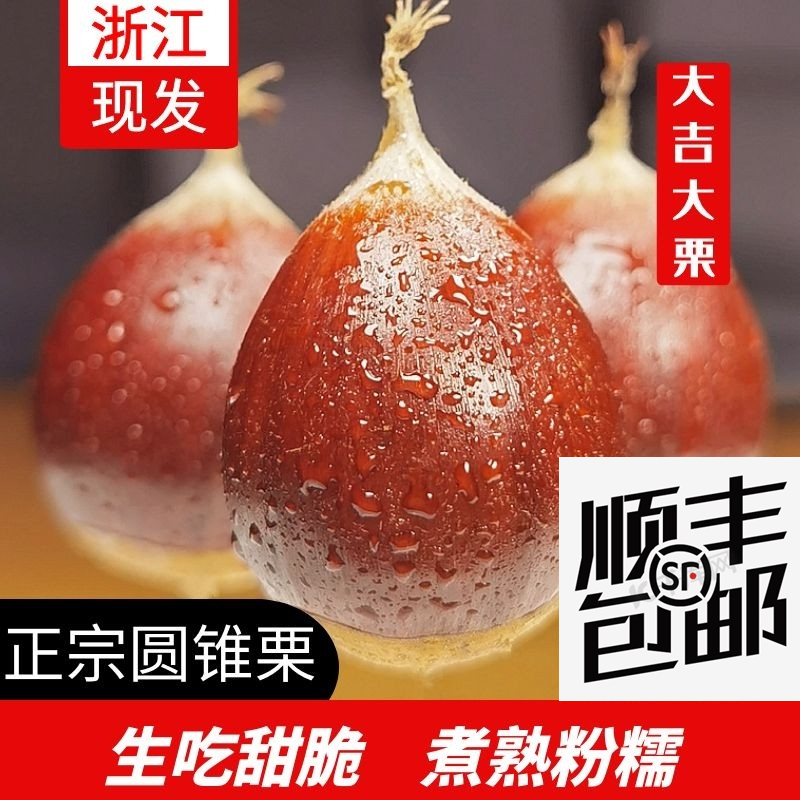 庆元特产小板栗圆板栗