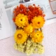 Zou Chrysanthemum Orange Flower Mapern/1 коробка
