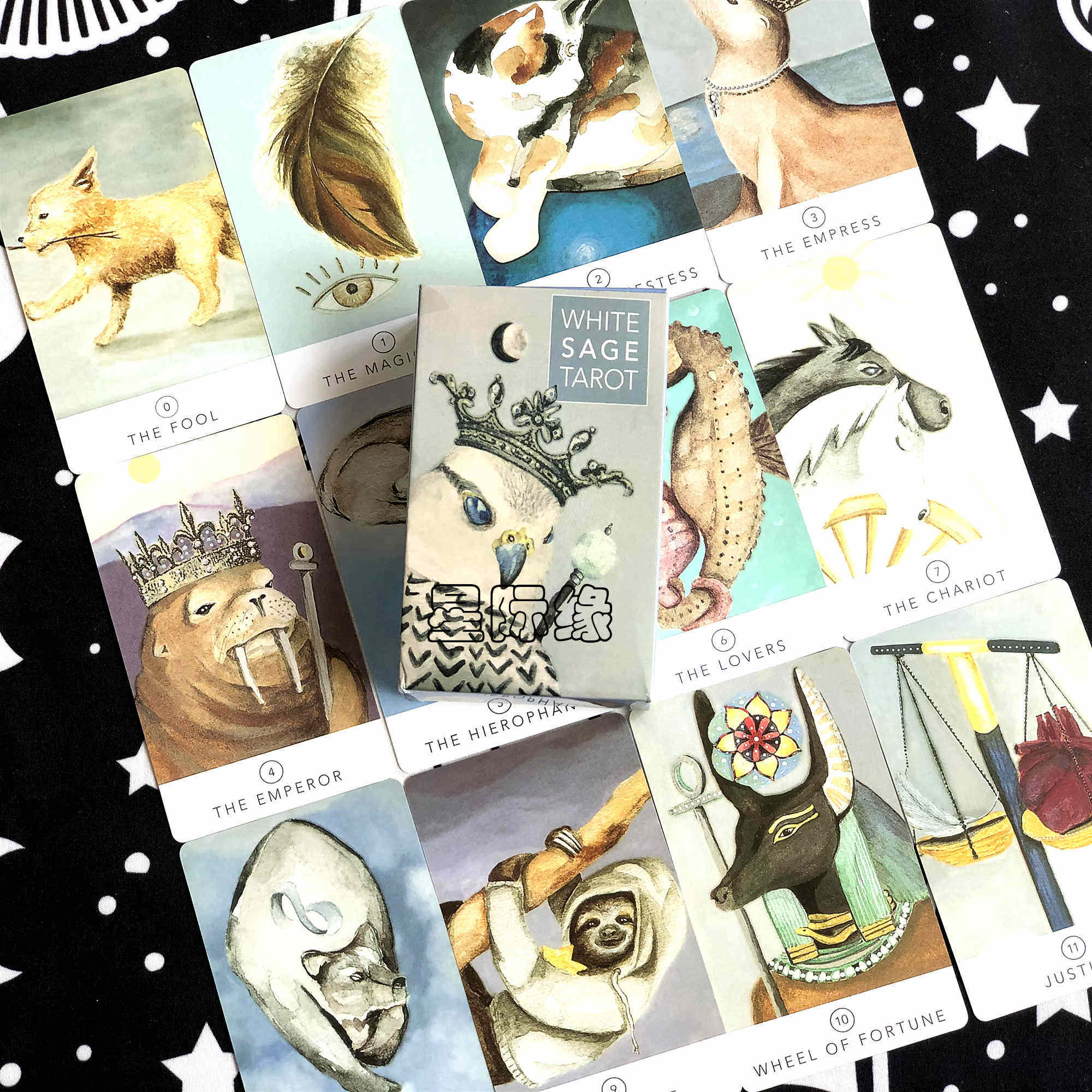包邮 white sage tarot白鼠尾草塔罗牌 净化之旅可爱动物桌游卡牌