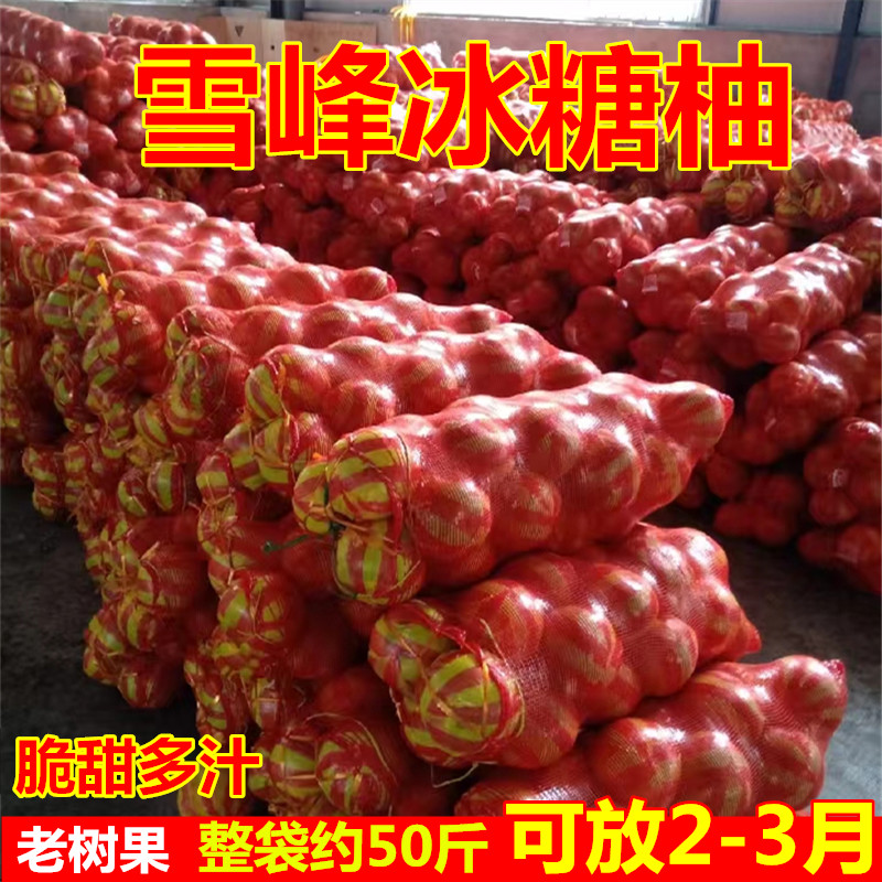 湖南怀化安江雪峰冰糖柚50斤新鲜水果老树柚药柚子安福脆甜金兰柚